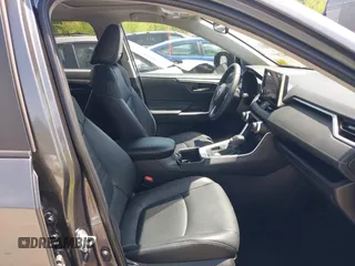 2023 Toyota RAV4 XLE Premium with VIN 2T3A1RFV7PC388232, listed as a IAAI auction lot 42246942 with 15,317 mi miles and . Bid and sale history available at DreamBid. Image 5.