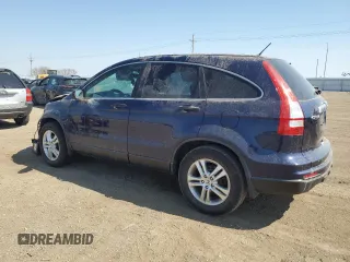 2010 Honda CR-V EX with VIN 5J6RE4H56AL096484, listed as a Copart auction lot 49945545 with 0 mi miles and Clean Title. Bid and sale history available at carsss.com. Image 2.