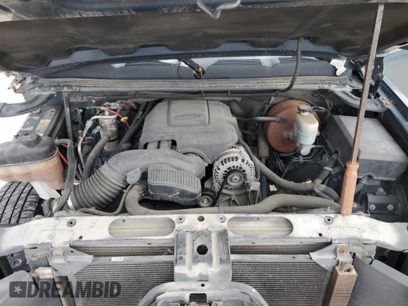 2007 Chevrolet Silverado 1500 Work Truck with VIN 2GCEC13C971601446, listed as a Copart auction lot 44167295 with 228,257 mi miles and Salvage Title. Bid and sale history available at DreamBid. Image 11.