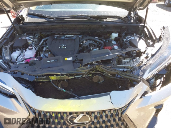 2025 Lexus NX 350 z VIN 2T2AGCEZ6SC070955, wystawiony jako IAAI lot #41821895 z przebiegiem 8 632 mil mil oraz . Historia ofert i sprzedaży dostępna na DreamBid. Obrazek 10.