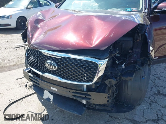 2017 Kia Sorento LX with VIN 5XYPGDA53HG224624, listed as a IAAI auction lot 41976003 with Not Provided miles and . Bid and sale history available at carsss.com. Image 6.