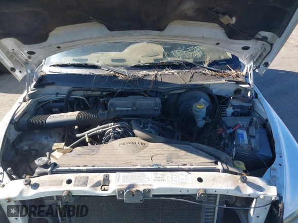 2000 Dodge 1500 with VIN 1B7HC13Z3YJ191235, listed as a IAAI auction lot 41414124 with 180,098 mi miles and . Bid and sale history available at DreamBid. Image 10.