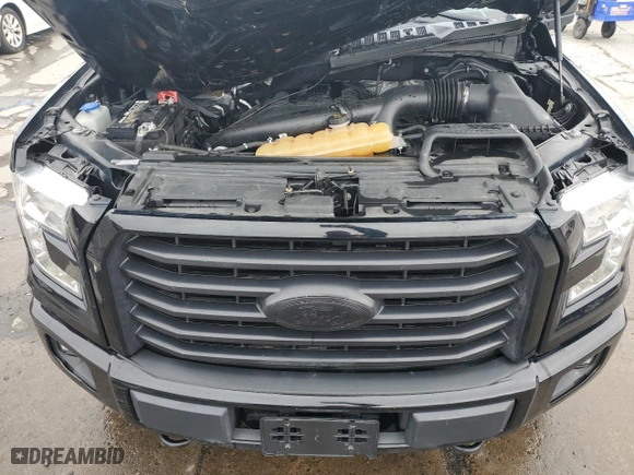 2016 Ford F-150 XLT with VIN 1FTEW1EG2GKD31323, listed as a Copart auction lot 48737085 with 0 mi miles and Salvage Title. Bid and sale history available at carsss.com. Image 11.