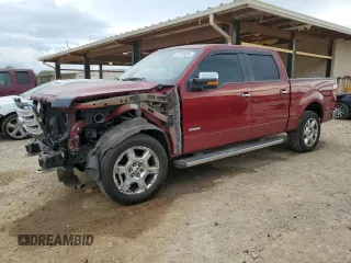 2014 Ford F-150 XL with VIN 1FTFW1ETXEKG17581, listed as a Copart auction lot 51266085 with 0 mi miles and Salvage Title. Bid and sale history available at carsss.com. Image 1.