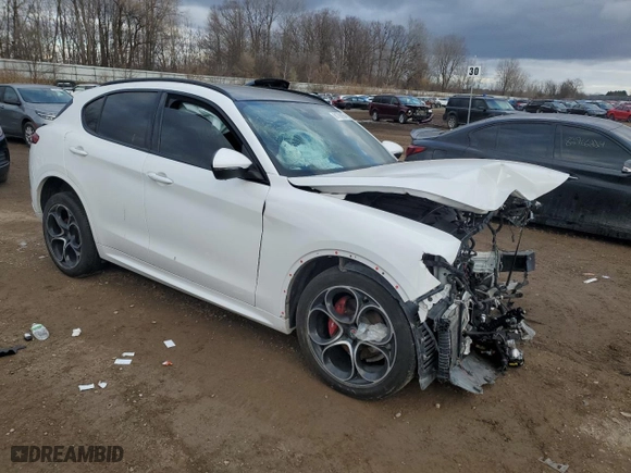 2021 Alfa Romeo Stelvio Ti with VIN ZASPAKBN6M7D01053, listed as a Copart auction lot 81766904 with 0 mi miles and Non Repairable. Bid and sale history available at carsss.com. Image 4.