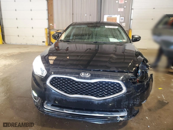 2015 Kia Cadenza Premium with VIN KNALN4D76F5181577, listed as a Copart auction lot 49217285 with NaN miles and Salvage Title. Bid and sale history available at carsss.com. Image 5.
