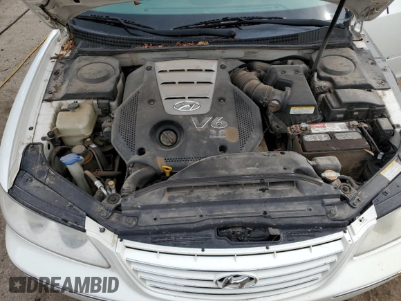 2006 Hyundai Azera SE with VIN KMHFC46F66A056611, listed as a Copart auction lot 55468615 with 138,582 mi miles and Salvage title. Bid and sale history available at DreamBid. Image 11.