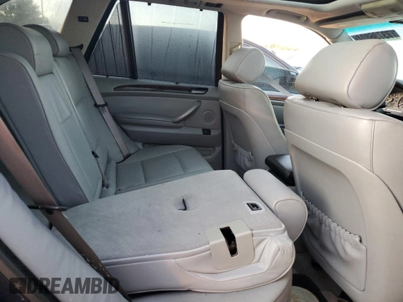 2006 BMW X5 3.0i with VIN 5UXFA135X6LY33251, listed as a Copart auction lot 73736804 with 0 mi miles and Salvage Title. Bid and sale history available at carsss.com. Image 11.