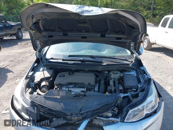 2017 Chevrolet Cruze LS with VIN 1G1BC5SM0H7256406, listed as a IAAI auction lot 42046649 with 120,658 mi miles and . Bid and sale history available at DreamBid. Image 10.