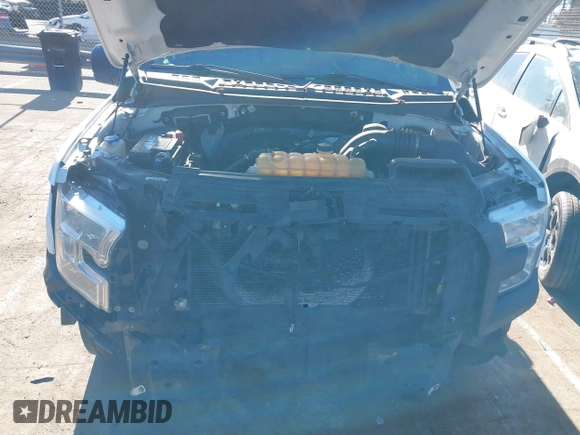 2017 Ford F-150 XL with VIN 1FTEX1C89HKD20104, listed as a IAAI auction lot 41341433 with 213,037 mi miles. Bid and sale history available at carsss.com. Image 10.