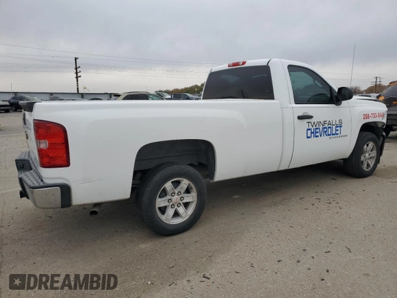 2010 Chevrolet Silverado 1500 Work Truck with VIN 1GCPCPEX9AZ201607, listed as a Copart auction lot 80228064 with Not Provided miles and Salvage Title. Bid and sale history available at DreamBid. Image 3.