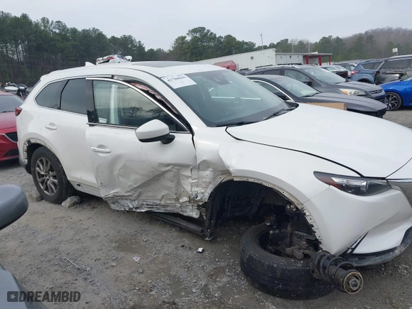 2019 Mazda CX-9 Touring with VIN JM3TCBCY4K0327075, listed as a IAAI auction lot 41780849 with 105,589 mi miles. Bid and sale history available at carsss.com. Image 13.