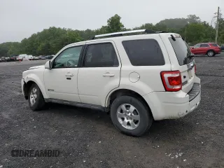 2010 Ford Escape Hybrid with VIN 1FMCU4K35AKB43740, listed as a Copart auction lot 58714855 with 116,463 mi miles and Salvage title. Bid and sale history available at DreamBid. Image 2.