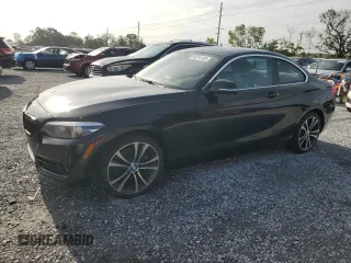 2018 BMW 2 Series 230i with VIN WBA2J1C55JVD09423, listed as a Copart auction lot 64314105 with Not provided miles and Salvage title. Bid and sale history available at DreamBid. Image 1.