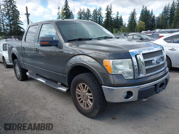 2009 Ford F-150 XL with VIN 1FTPW14V59FA09506, listed as a IAAI auction lot 42068602 with 222,954 mi miles. Bid and sale history available at carsss.com. Image 1.