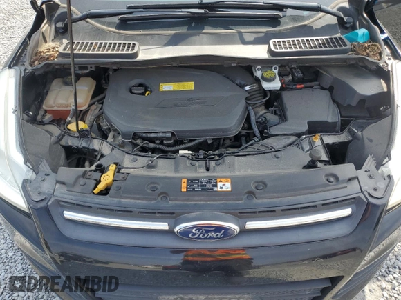 2016 Ford Escape SE with VIN 1FMCU9GX8GUC03600, listed as a Copart auction lot 49327445 with Not Provided miles and Clean Title. Bid and sale history available at DreamBid. Image 12.