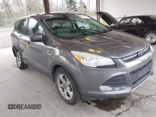2013 Ford Escape SE with VIN 1FMCU0G93DUC83879, listed as a IAAI auction lot 41958989 with 178,334 mi miles. Bid and sale history available at carsss.com. Image 1.