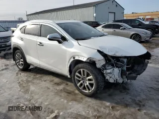 2020 Lexus NX 300 with VIN JTJGARDZ6L5014742, listed as a Copart auction lot 43014355 with 13,788 mi miles and Salvage title. Bid and sale history available at DreamBid. Image 4.