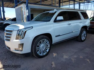 2016 Cadillac Escalade Platinum with VIN 1GYS3DKJ7GR344163, listed as a Copart auction lot 49719985 with 58,947 mi miles and Salvage Title. Bid and sale history available at carsss.com. Image 1.