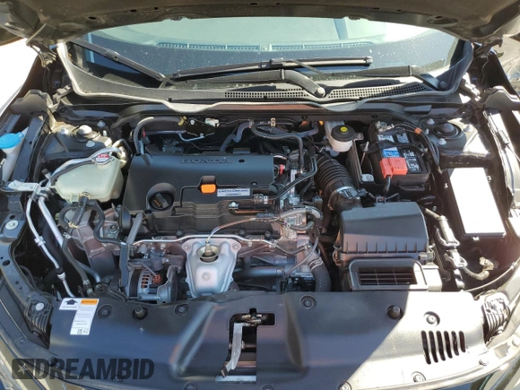 2019 Honda Civic Sedan Sport with VIN 2HGFC2F80KH605890, listed as a Copart auction lot 48865145 with 37,424 mi miles and Salvage Title. Bid and sale history available at carsss.com. Image 11.