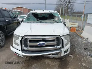 2015 Ford F-150 XL with VIN 1FTEW1CF9FFA40738, listed as a IAAI auction lot 41715885 with 296,111 mi miles. Bid and sale history available at carsss.com. Image 12.