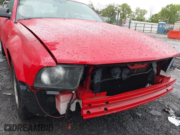 2005 Ford Mustang Deluxe with VIN 1ZVFT80NX55170109, listed as a IAAI auction lot 41981308 with 84,419 mi miles. Bid and sale history available at carsss.com. Image 14.