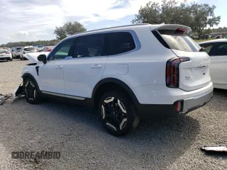2024 Kia Telluride EX with VIN 5XYP3DGC1RG442032, listed as a Copart auction lot 75420063 with Not Provided miles and Non Repairable. Bid and sale history available at carsss.com. Image 2.