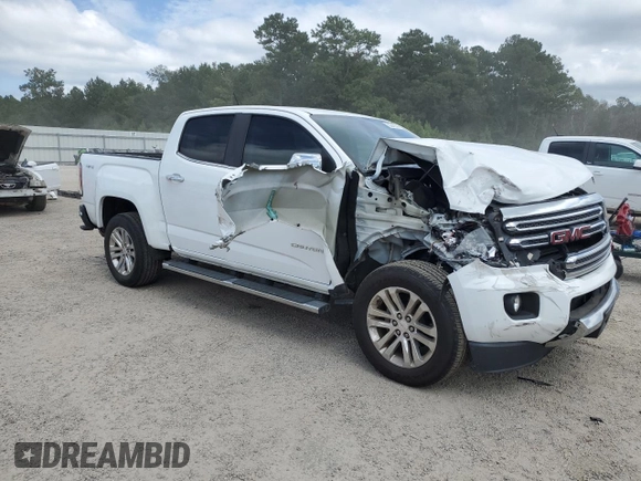 2019 GMC Canyon 4WD SLT with VIN 1GTG6DEN1K1210533, listed as a Copart auction lot 70249144 with 91,131 mi miles and Salvage Title. Bid and sale history available at carsss.com. Image 4.