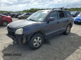 2005 Hyundai Santa Fe GLS with VIN KM8SC73D25U868391, listed as a Copart auction lot 50810045 with 119,074 mi miles and Salvage Title. Bid and sale history available at carsss.com. Image 1.