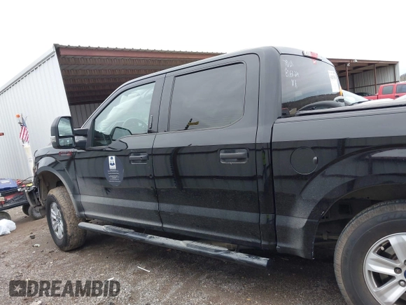 2018 Ford F-150 XL with VIN 1FTEW1EB0JKD85702, listed as a IAAI auction lot 41207356 with 136,528 mi miles. Bid and sale history available at carsss.com. Image 13.