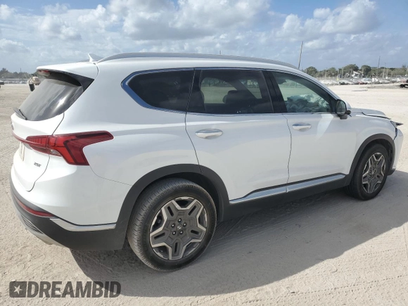2022 Hyundai Santa Fe Limited with VIN 5NMS44AL2NH455808, listed as a Copart auction lot 45237285 with 51,255 mi miles and Salvage Title. Bid and sale history available at carsss.com. Image 3.