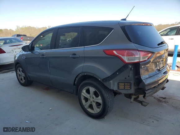 2014 Ford Escape SE with VIN 1FMCU0G90EUA54626, listed as a Copart auction lot 49317785 with 285500 miles and Salvage Title. Bid and sale history available at carsss.com. Image 2.