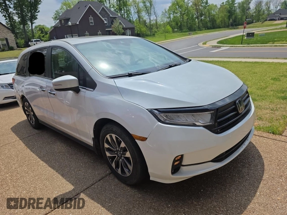 2023 Honda Odyssey EX-L with VIN 5FNRL6H67PB013527, listed as a Copart auction lot 54103145 with 11,356 mi miles and Clean Title. Bid and sale history available at carsss.com. Image 1.