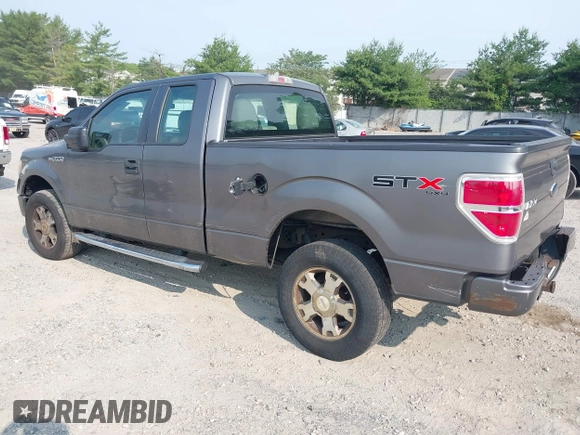 2010 Ford F-150 XL with VIN 1FTEX1E83AFD70461, listed as a IAAI auction lot 42438962 with 234,709 mi miles and . Bid and sale history available at DreamBid. Image 3.