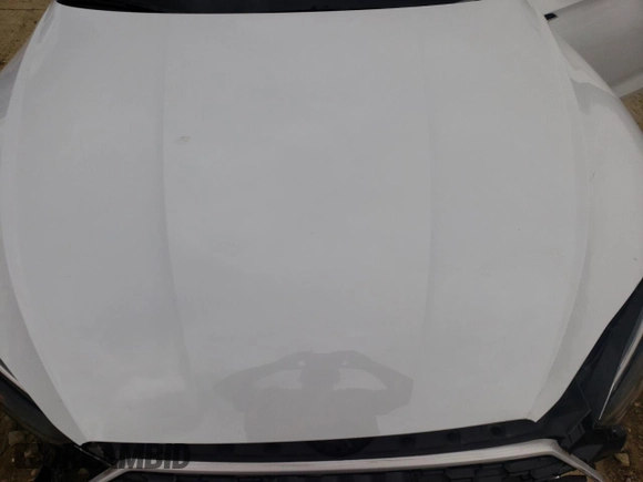 2019 Audi RS 5 Sportback z VIN WUABWCF54KA903957, wystawiony jako Copart lot #49552262 z przebiegiem Nie podano mil oraz . Historia ofert i sprzedaży dostępna na DreamBid. Obrazek 7.