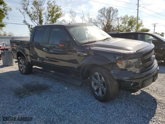 2013 Ford F-150 XL with VIN 1FTFW1CF1DKG41439, listed as a Copart auction lot 50168925 with 113,320 mi miles and Salvage Title. Bid and sale history available at carsss.com. Image 4.