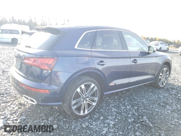 2018 Audi SQ5 Prestige with VIN WA1C4AFY1J2021704, listed as a Copart auction lot 76020664 with 119,928 mi miles and Salvage Title. Bid and sale history available at DreamBid. Image 3.