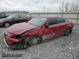 2022 Lexus ES with VIN 58ADZ1B15NU115491, listed as a Copart auction lot 48785495 with 49,130 mi miles and Salvage Title. Bid and sale history available at carsss.com. Image 1.