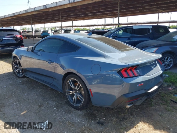 2024 Ford Mustang EcoBoost with VIN 1FA6P8TH3R5109807, listed as a IAAI auction lot 41916951 with Not provided miles and . Bid and sale history available at DreamBid. Image 3.