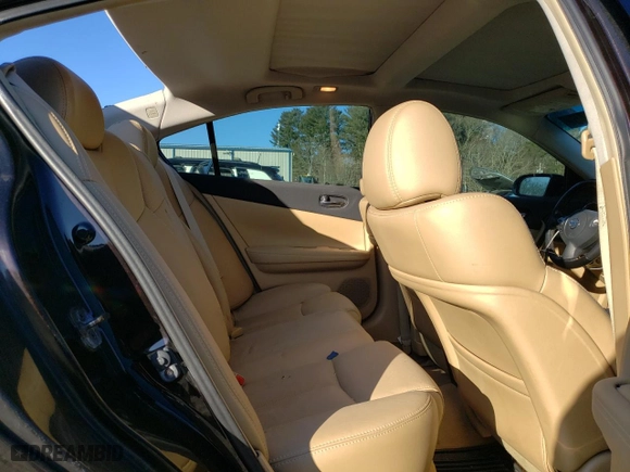 2010 Nissan Maxima 3.5 SV with VIN 1N4AA5AP6AC825203, listed as a Copart auction lot 48490445 with 195,801 mi miles and Clean Title. Bid and sale history available at carsss.com. Image 10.