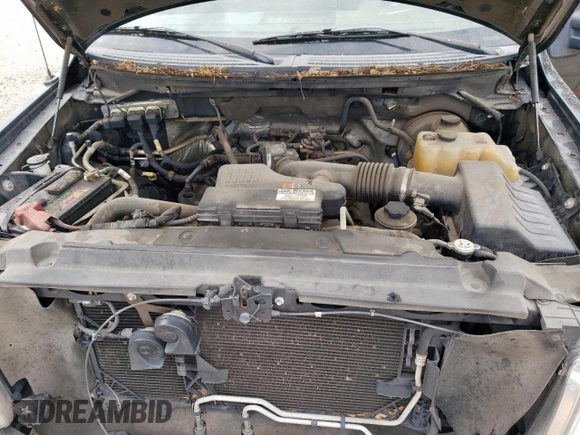 2010 Ford F-150 XL with VIN 1FTEX1CW9AKC19892, listed as a Copart auction lot 63343325 with 164,158 mi miles and Salvage title. Bid and sale history available at DreamBid. Image 11.