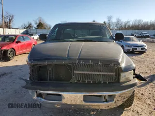 1999 Dodge 1500 with VIN 3B7HC12Y1XG199438, listed as a Copart auction lot 88346955 with 230,867 mi miles and Salvage Title. Bid and sale history available at DreamBid. Image 5.