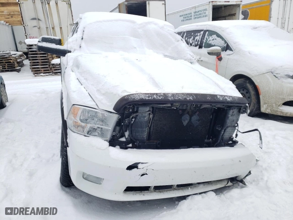 2010 Dodge Ram 1500 Sport with VIN 1D7RV1CT9AS220236, listed as a Copart auction lot 87943885 with 193,575 mi miles and Salvage Title. Bid and sale history available at carsss.com. Image 5.
