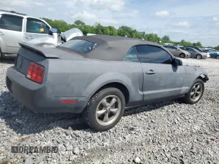 2006 Ford Mustang Standard with VIN 1ZVFT84N865126752, listed as a Copart auction lot 57160965 with Not provided miles and Salvage title. Bid and sale history available at DreamBid. Image 3.