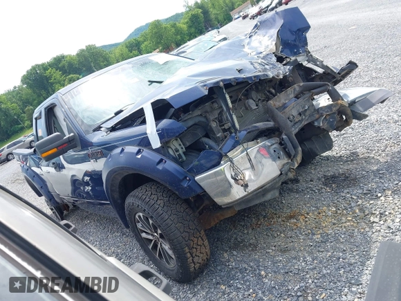 2010 Ford F-150 XL with VIN 1FTEX1E80AFA90416, listed as a IAAI auction lot 41446367 with Not provided miles and . Bid and sale history available at DreamBid. Image 1.