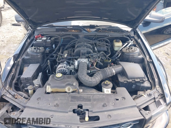 2007 Ford Mustang Deluxe with VIN 1ZVFT84N875349097, listed as a IAAI auction lot 42228909 with 131,351 mi miles and . Bid and sale history available at DreamBid. Image 10.