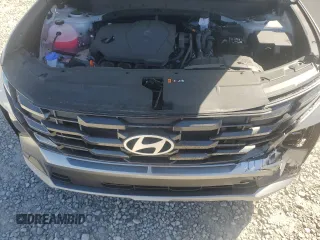 2025 Hyundai Tucson SEL Convenience with VIN 5NMJCCDE5SH495270, listed as a Copart auction lot 48699785 with 1,307 mi miles and Salvage Title. Bid and sale history available at carsss.com. Image 12.