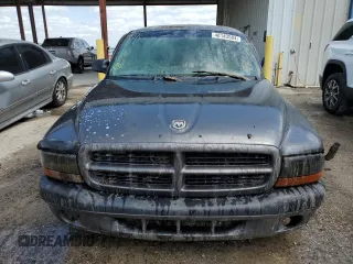 2001 Dodge Dakota with VIN 1B7FL26X21S343416, listed as a Copart auction lot 48143584 with 0 mi miles and Non Repairable. Bid and sale history available at carsss.com. Image 5.
