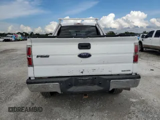 2014 Ford F-150 XL with VIN 1FTVX1EF3EKD85389, listed as a Copart auction lot 64203925 with 314,929 mi miles and Clean title. Bid and sale history available at DreamBid. Image 6.