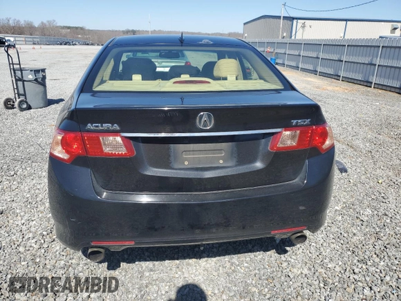 2012 Acura TSX Technology with VIN JH4CU2F64CC017717, listed as a Copart auction lot 48391675 with 272,814 mi miles and Salvage title. Bid and sale history available at DreamBid. Image 6.